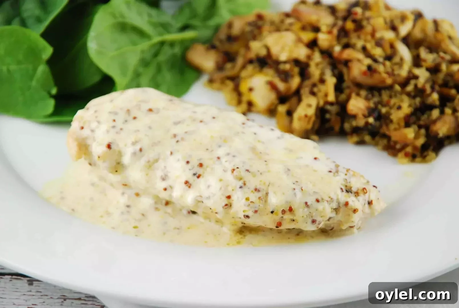 featured 11099