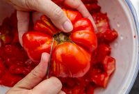 Episode 17: Preserving Summer Produce: Canning & Freezing