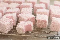 Kids’ Raspberry Honey Marshmallows and Instant Hot Cocoa Mix