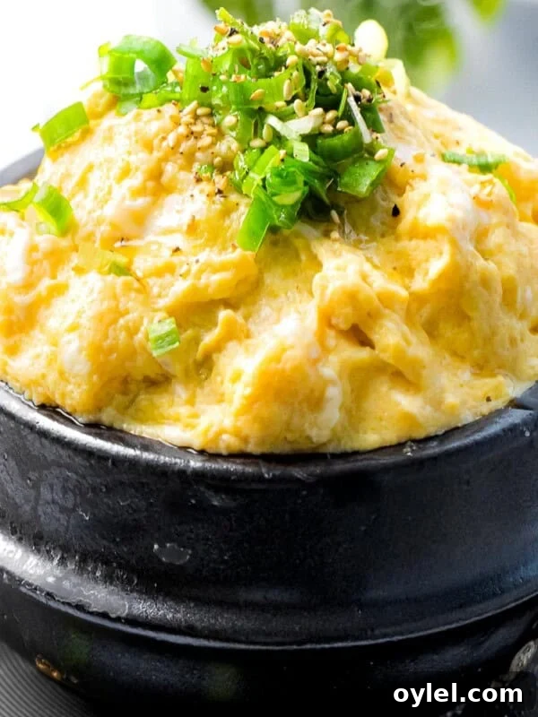 Korean steamed eggs garnished with scallions and sesame seeds.
