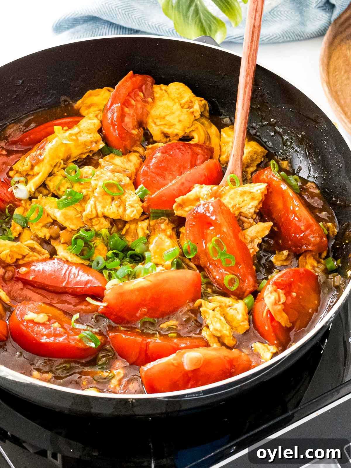 Chinese tomato egg in a pan with sauce and green onions.