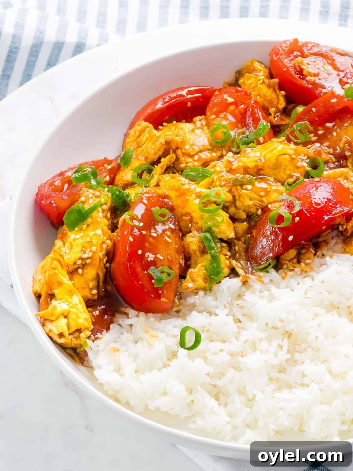 Chinese tomato egg stir fry with steamed rice and scrambled eggs.