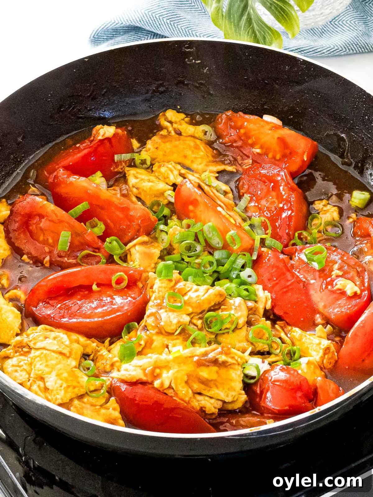 Chinese tomato egg stir fry in a pan with juicy red tomatoes and scrambled eggs with green onions.