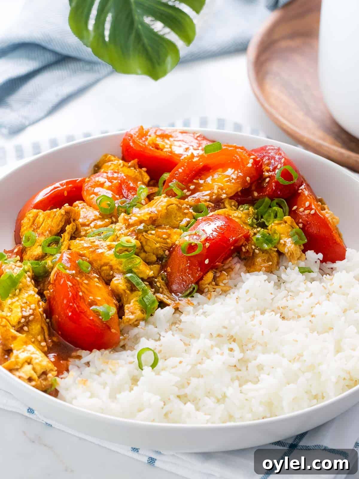 Chinese tomato egg stir fry served with rice and garnished with green onions.