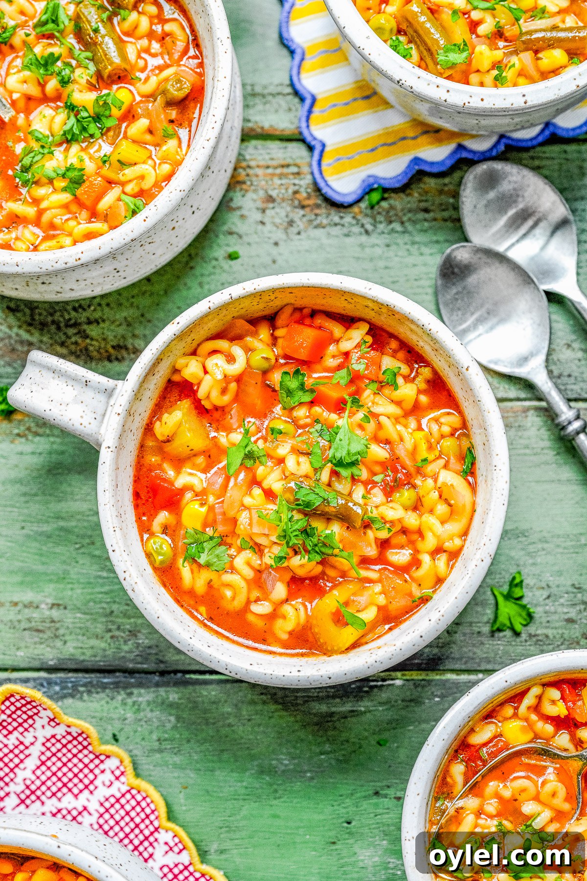 30-Minute Homemade Alphabet Soup - Tender alphabet pasta in a tomato flavored broth with a variety of vegetables including carrots, corn, peas, and green beans. So much BETTER than the canned store bought alternatives that many of us grew up with! A one pot EASY recipe that's perfect for busy weeknights!
