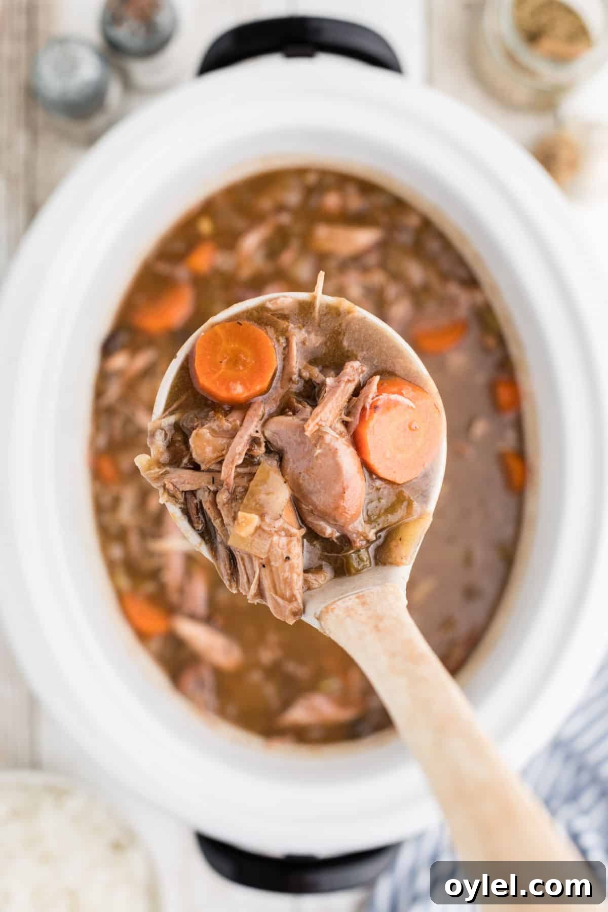 Slow-Cooker Rabbit Stew with Root Vegetables 5 A slow cooker rabbit stew with a ladle pulling some out.