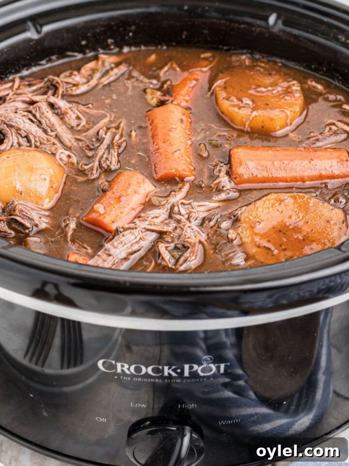 Slow cooker venison roast with red wine and carrots and potatoes.