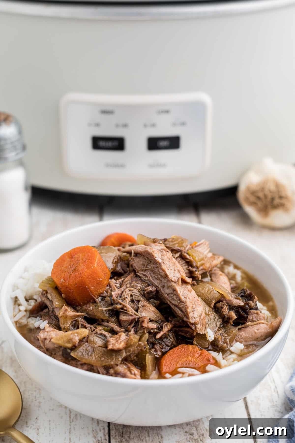 Slow-Cooker Rabbit Stew with Root Vegetables 10 A dished out bowl of slow cooker rabbit stew.