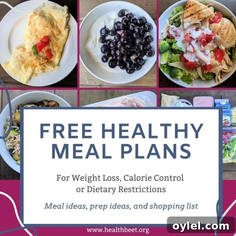 free healthy meal plans for weight loss or calorie counting
