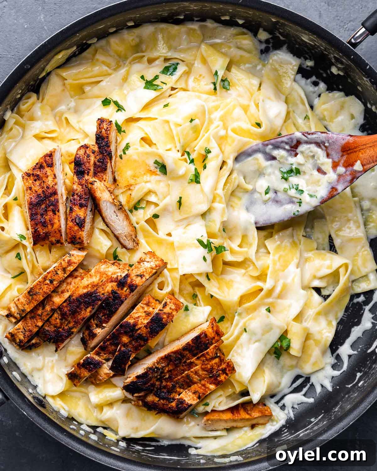 Overhead shot of alfredo pasta with pieces of blackened chicken on top.