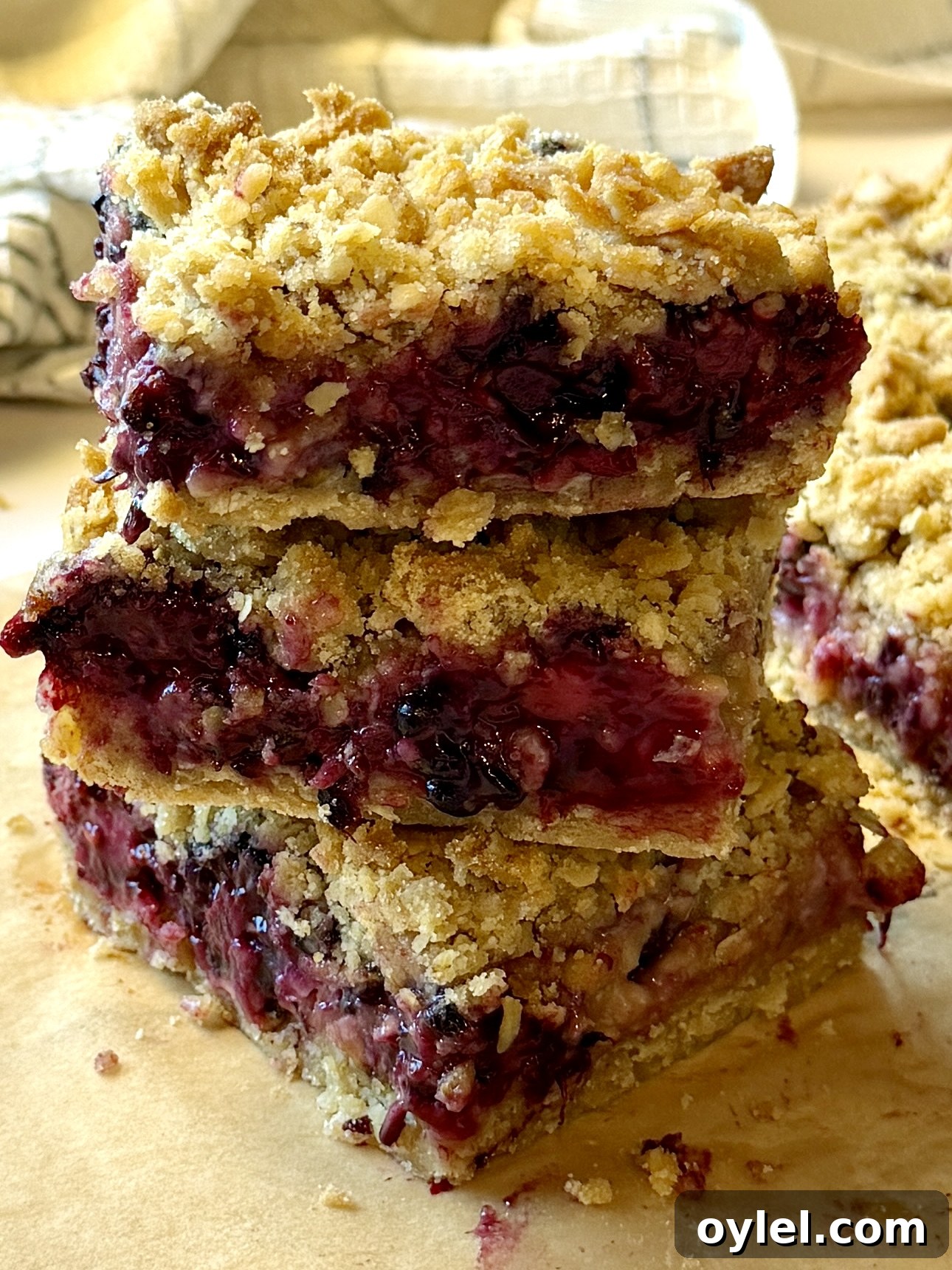Fresh Blackberry Zucchini Bars