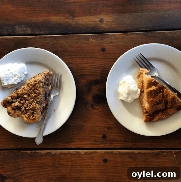 Four and Twenty Blackbirds pie