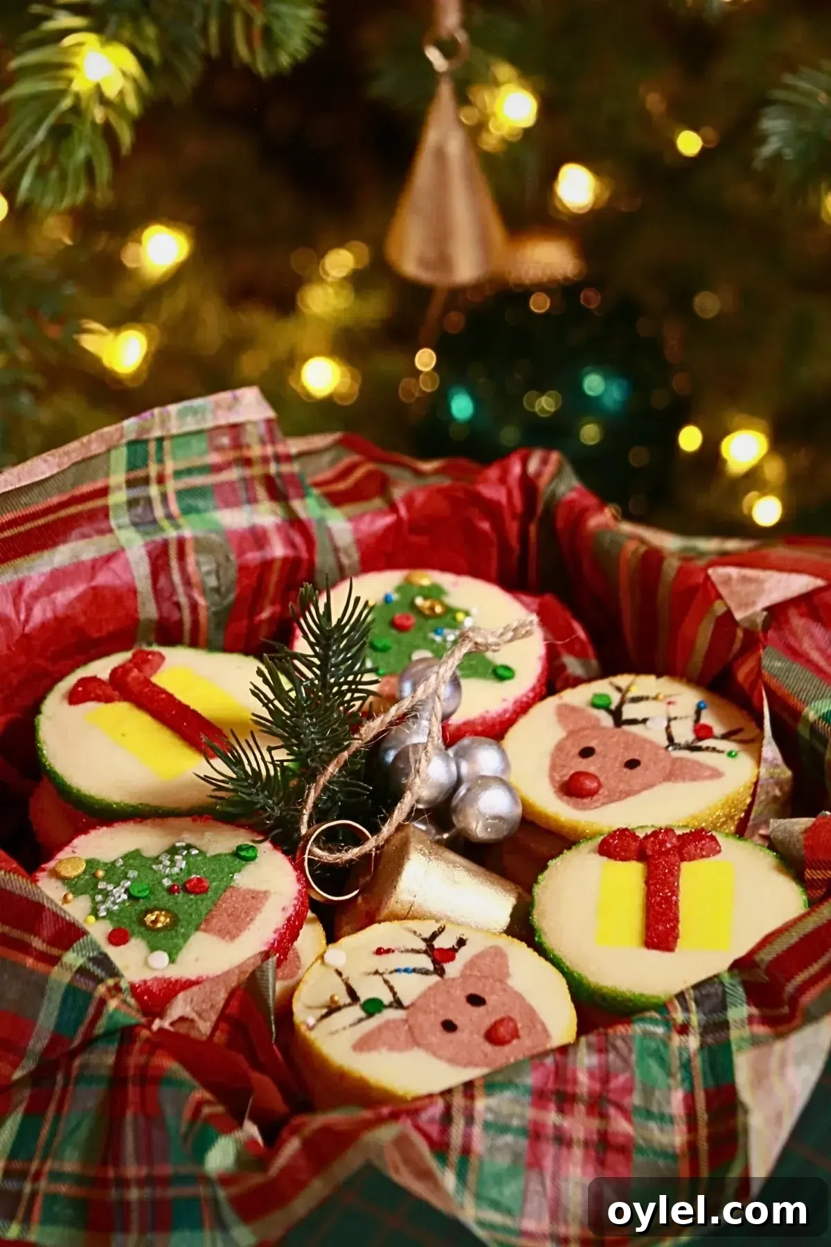 Slice-and-Bake Christmas Cookie Recipe: Tree, Reindeer, Gift Box 2 3 kinds of slice-and-bake Christmas cookies in a gift box