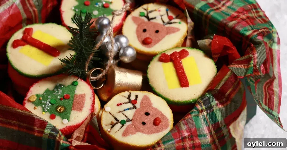 Slice-and-Bake Christmas Cookie Recipe: Tree, Reindeer, Gift Box 15 3 kinds of slice-and-bake christmas cookies in a box