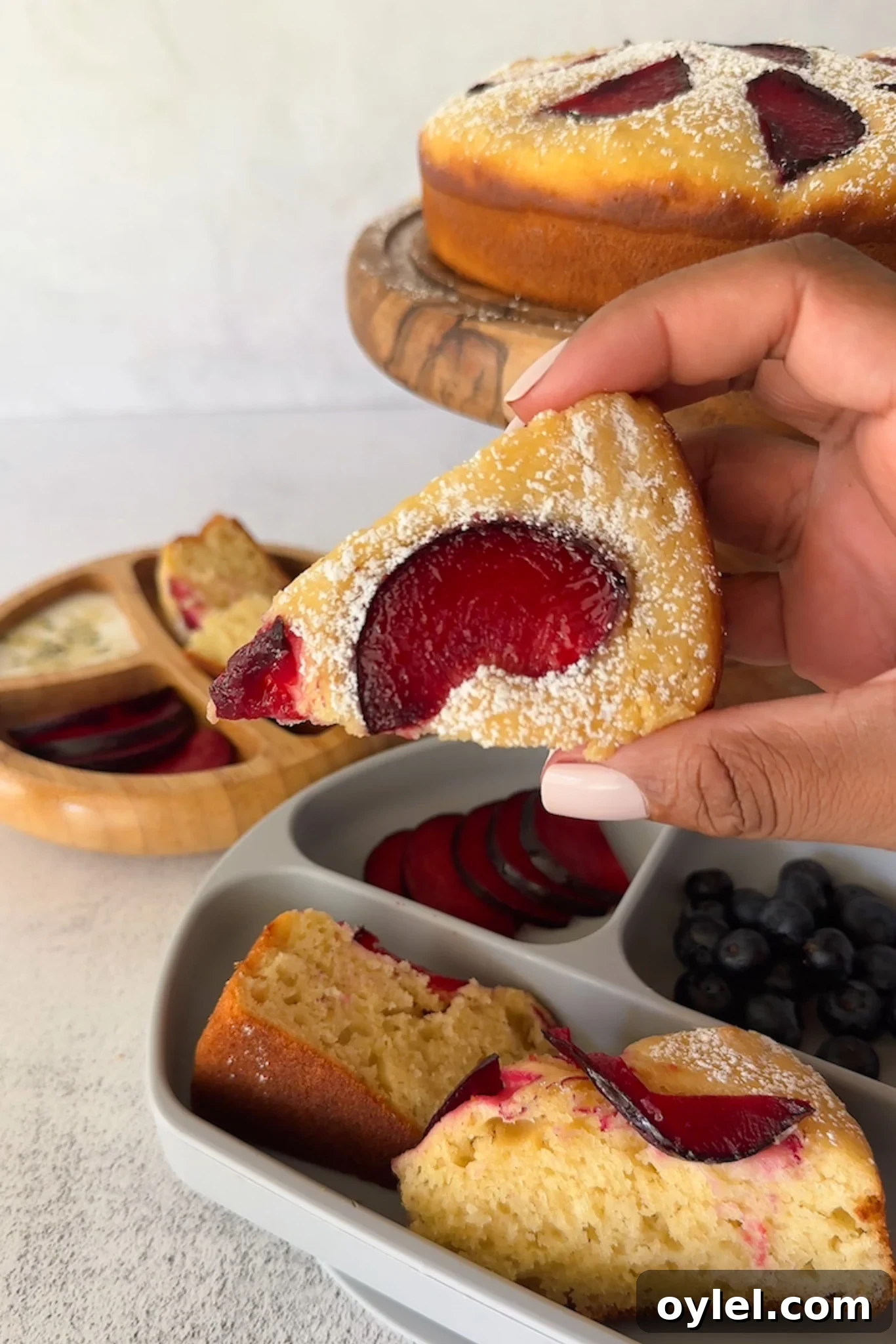 Moist Yogurt Plum Cake Recipe 6 Yogurt plum cake served with fruits.