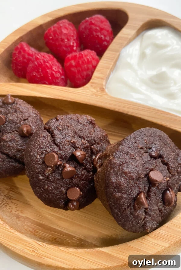 Moist Yogurt Plum Cake Recipe 9 Mini double chocolate banana muffins served with raspberries and yogurt.