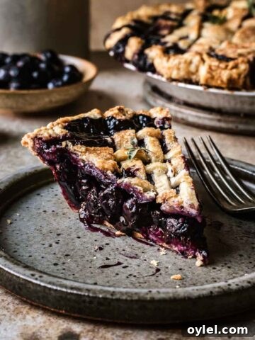 A slice of blueberry pie with a lattice top on a grey speckled ceramic plate. The blueberry filling is well set and bright purple.