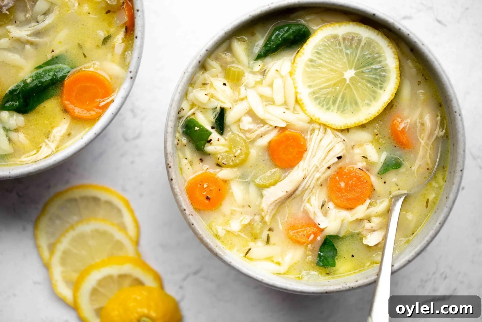 Instant Pot Lemon Chicken Soup Recipe 2 img 11293 2
