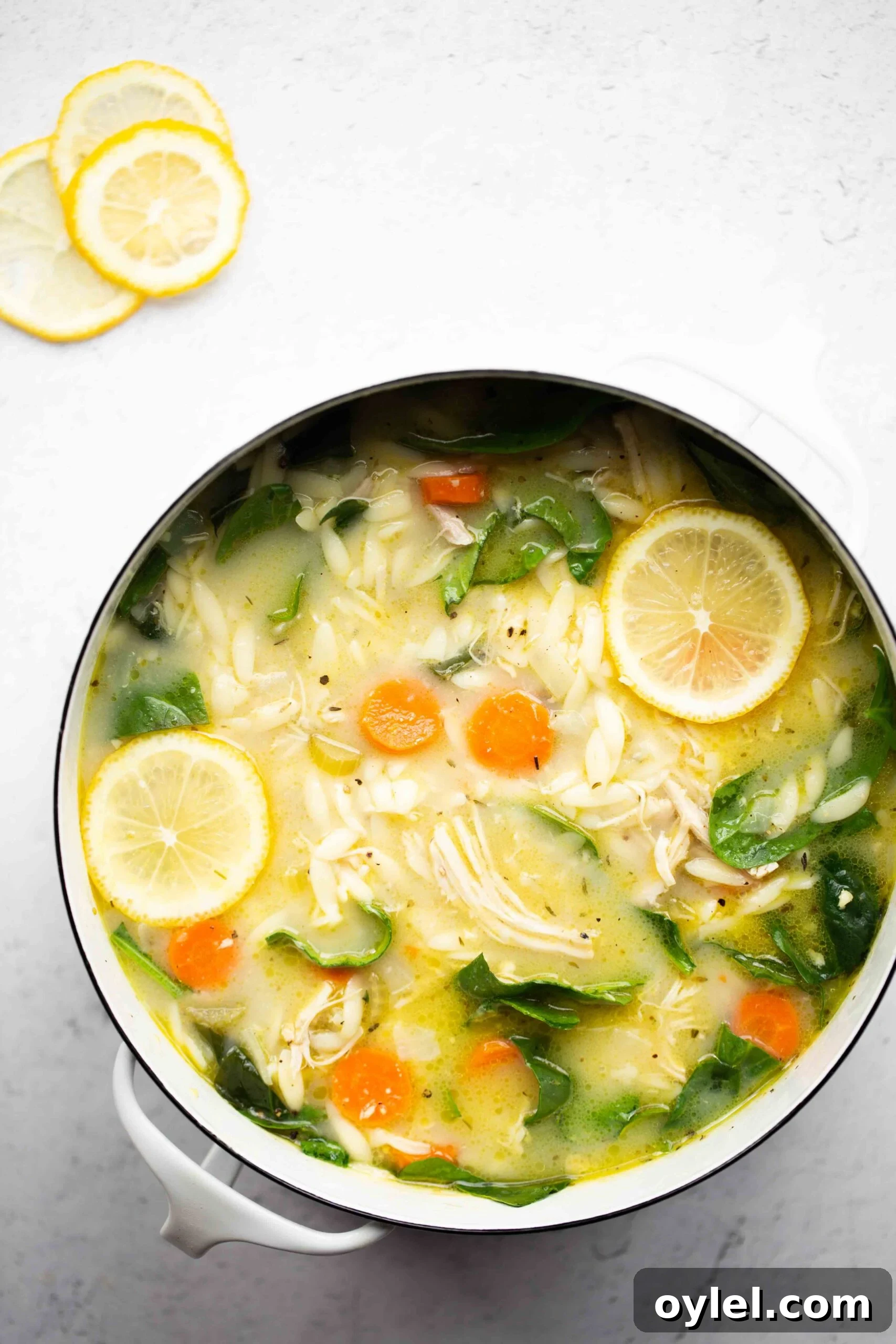 Instant Pot Lemon Chicken Soup Recipe 3 beautiful overhead photo of a pot of instant pot lemon chicken soup with orzo on a light background