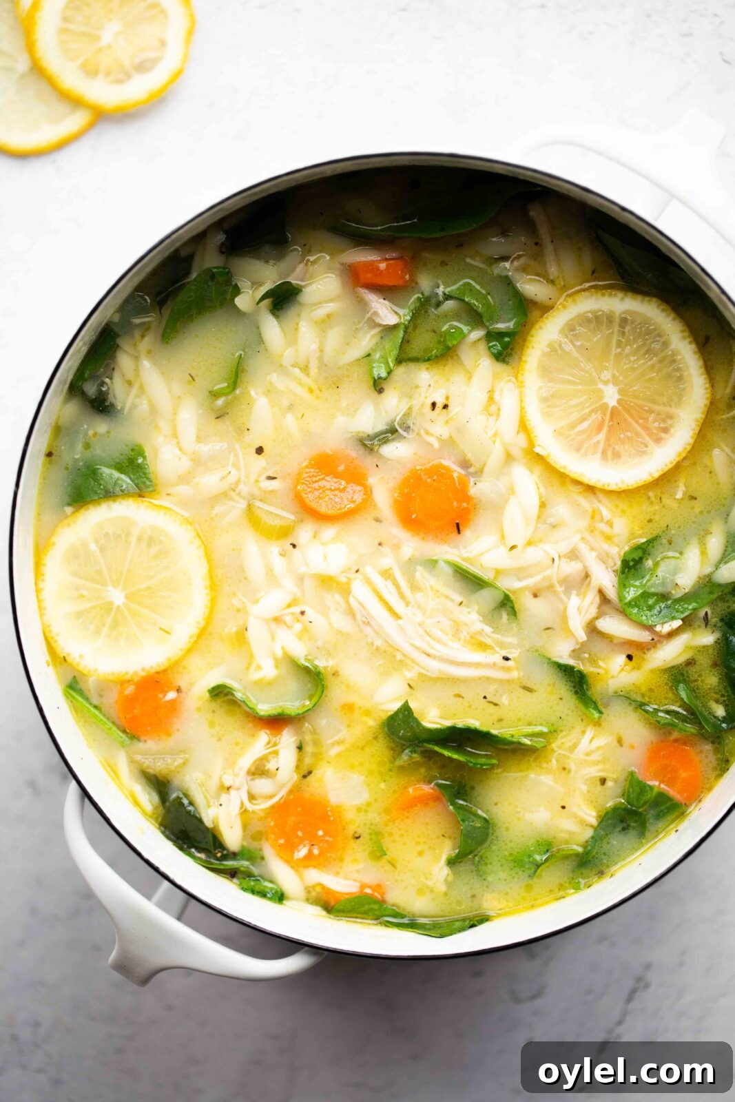 Instant Pot Lemon Chicken Soup Recipe 4 overhead photo of a pot of instant pot lemon chicken soup with orzo on a light background