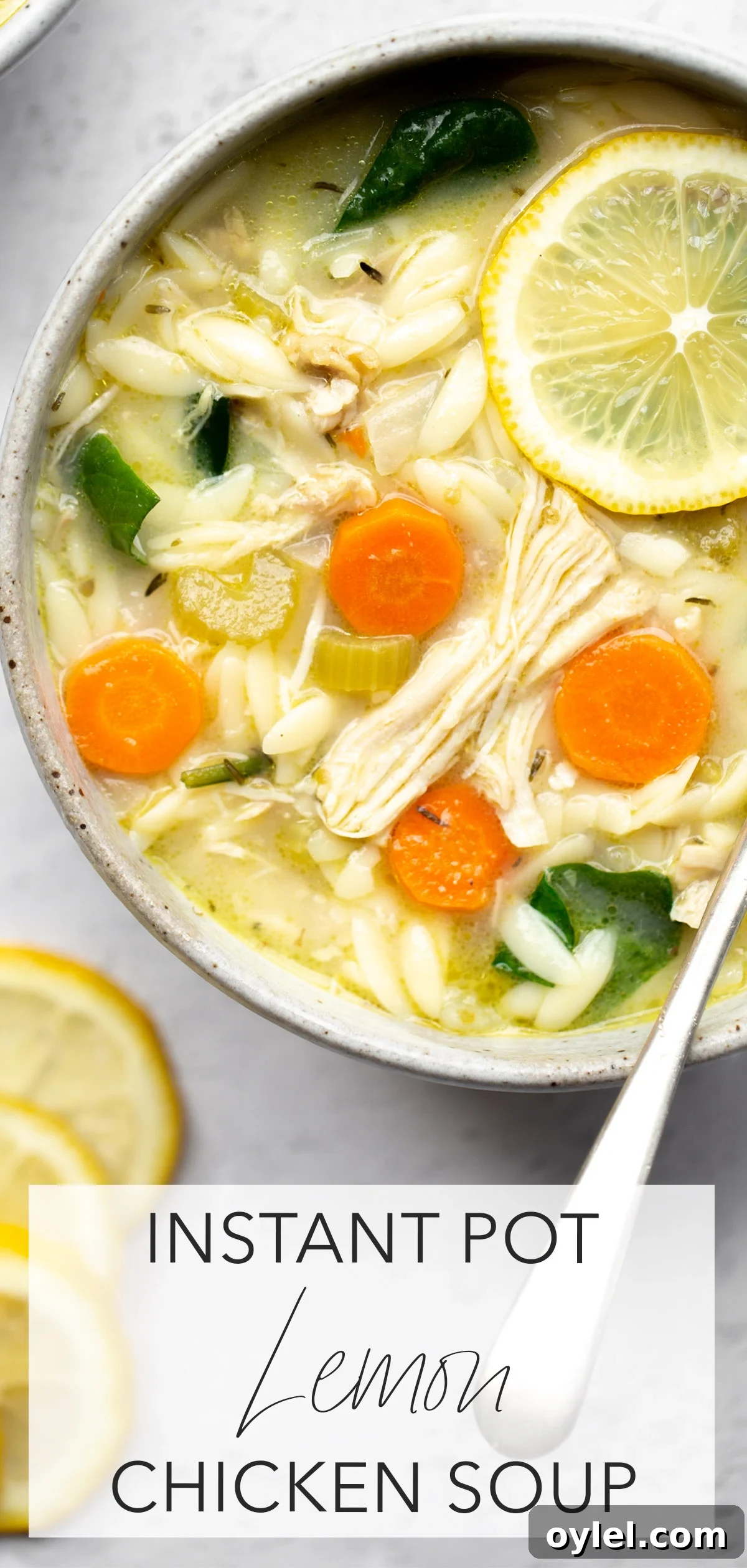 Instant Pot Lemon Chicken Soup Recipe 5 beautiful overhead photo of a bowl of instant pot lemon chicken soup with orzo on a light background with title text overlay