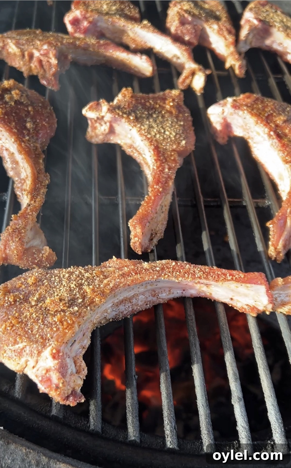 Grilling venison chops.