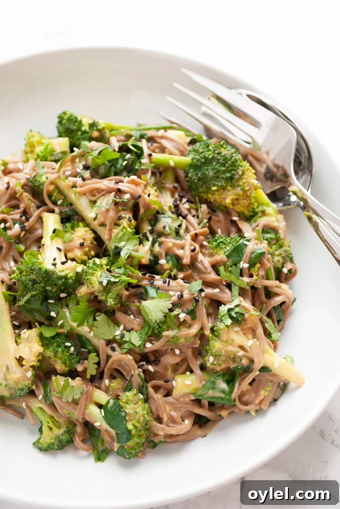 A serving bowl filled with soba noodles tossed with peanut sauce, steamed broccoli and spinach.