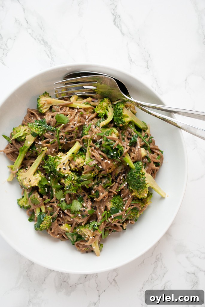 A serving bowl filled with broccoli peanut soba noodles.