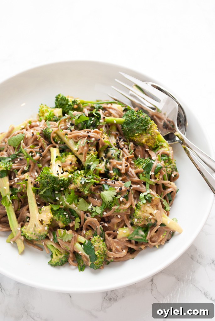 A serving bowl on a table with broccoli peanut soba noodles.