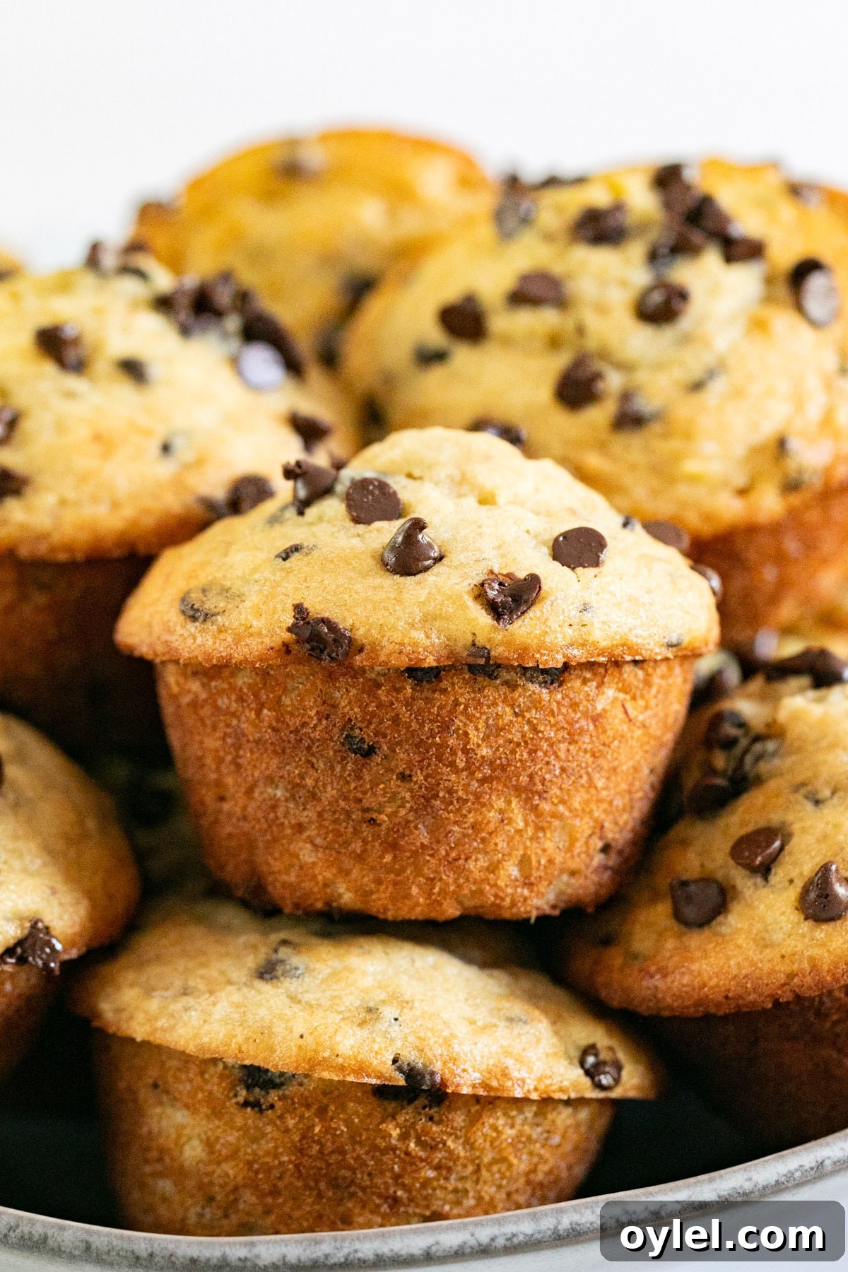 A close up image of a chocolate chip banana muffin inside a bowl of other muffins.