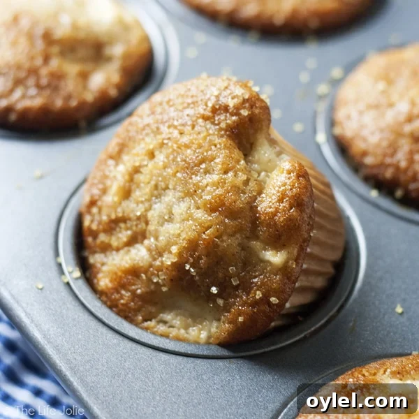 Apple Spice Muffins are one of my favorite fall recipes. Made with tasty chunks of apple, applesauce with cinnamon, nutmeg and ginger, they're so easy to make and taste great as breakfast or as a dessert!