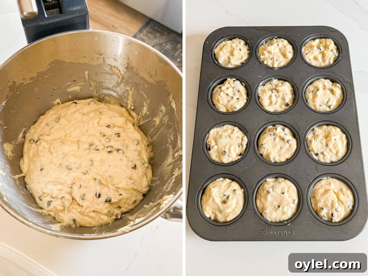 Dry ingredients and chocolate chips mixed together and then batter split between 12 muffin cups.