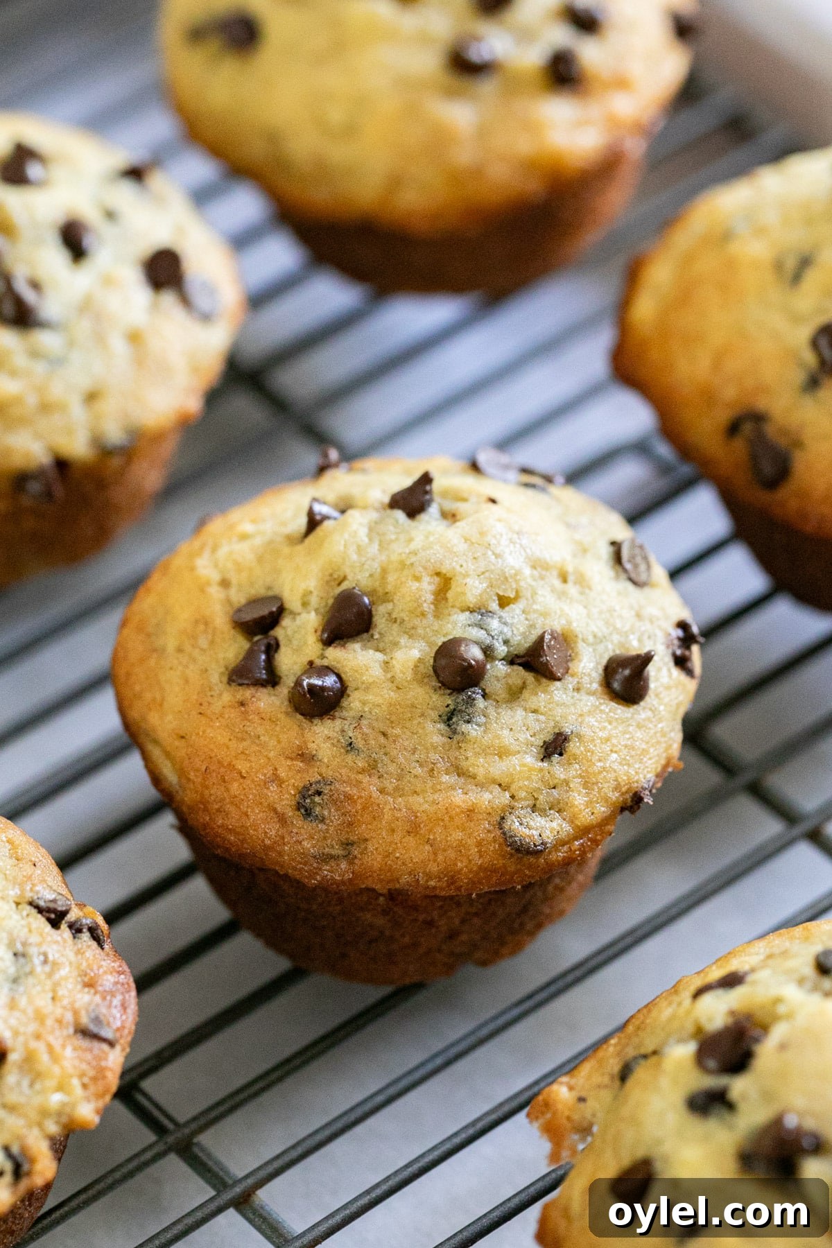 Muffins lined up on a cooling rack and focused on the center one.