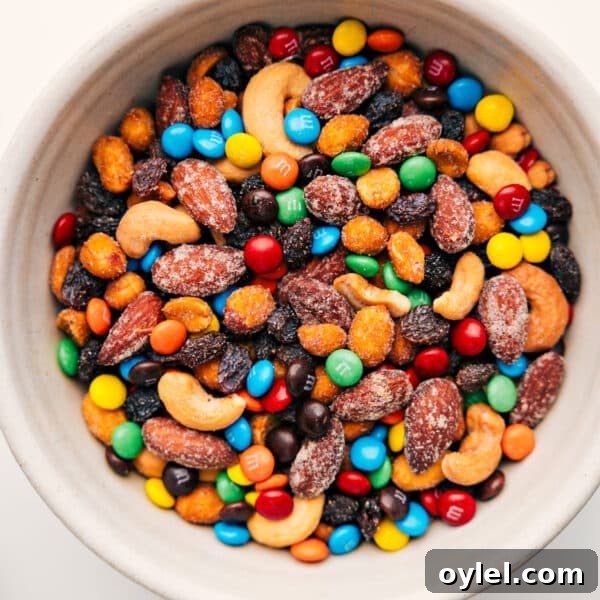 Trail mix in a bowl, a hearty and portable snack option.