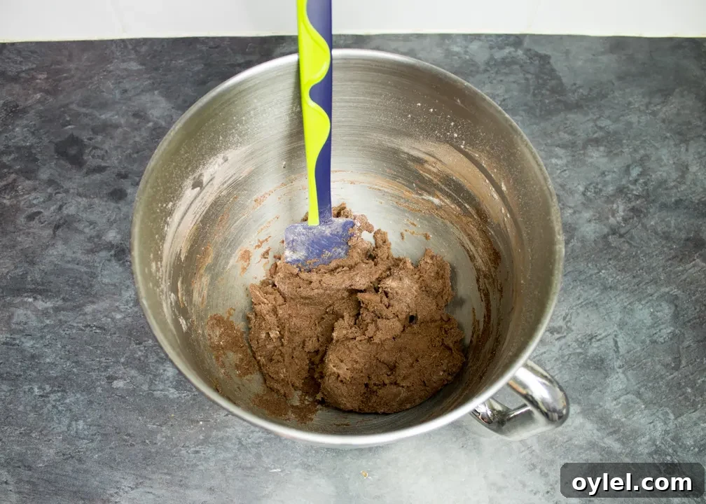 Chocolate biscuit dough in the bowl of an electric stand mixer with a spatula.