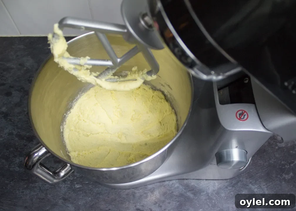 Creamed butter and sugar in the bowl of an electric stand mixer.