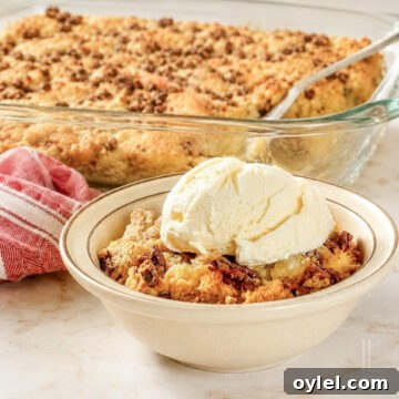 a bowl of pineapple dump cake topped with ice cream, in front of a baking dish.