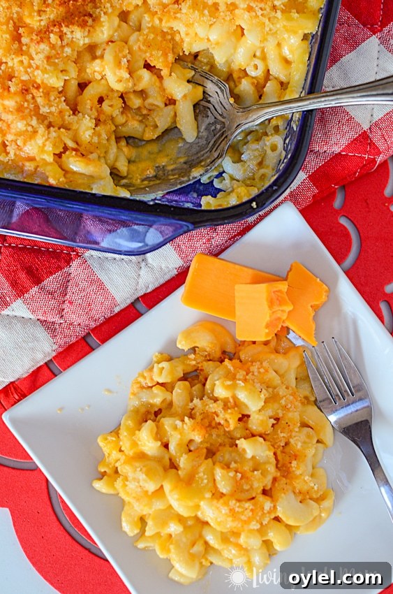 baked mac and cheese for kids on a white plate with red table background