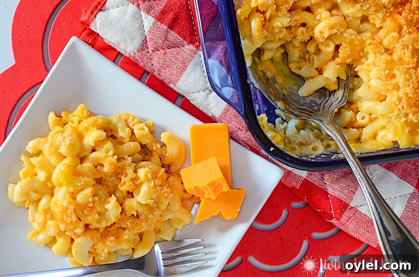 homemade mac and cheese for kids on a white plate with cheddar cheese and red background