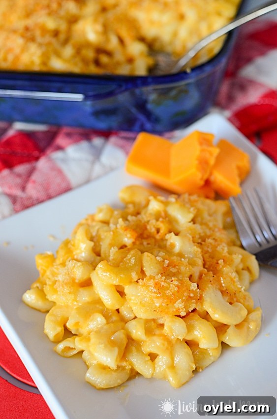 homemade macaroni and cheese on plate