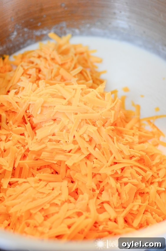 shredded cheese being added to boiling milk