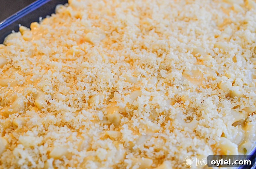 baked mac and cheese with breadcrumbs in a pan