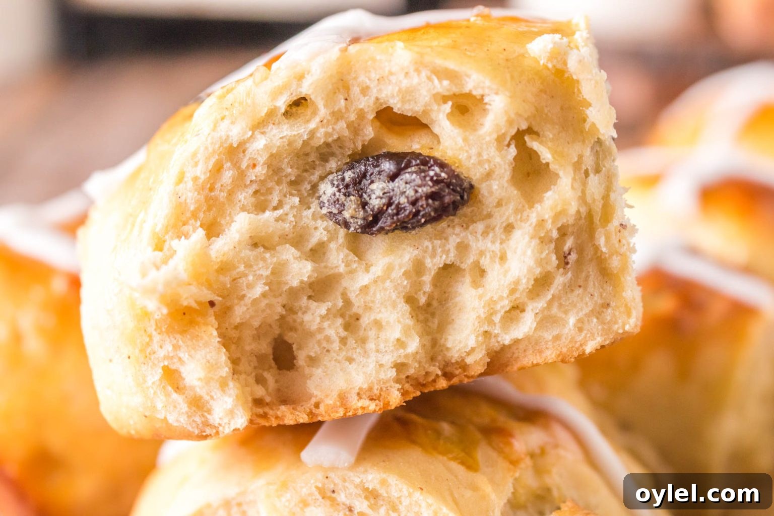 Homemade Hot Cross Buns Recipe for Easter 3 Close-up of the inside of a single hot cross bun.
