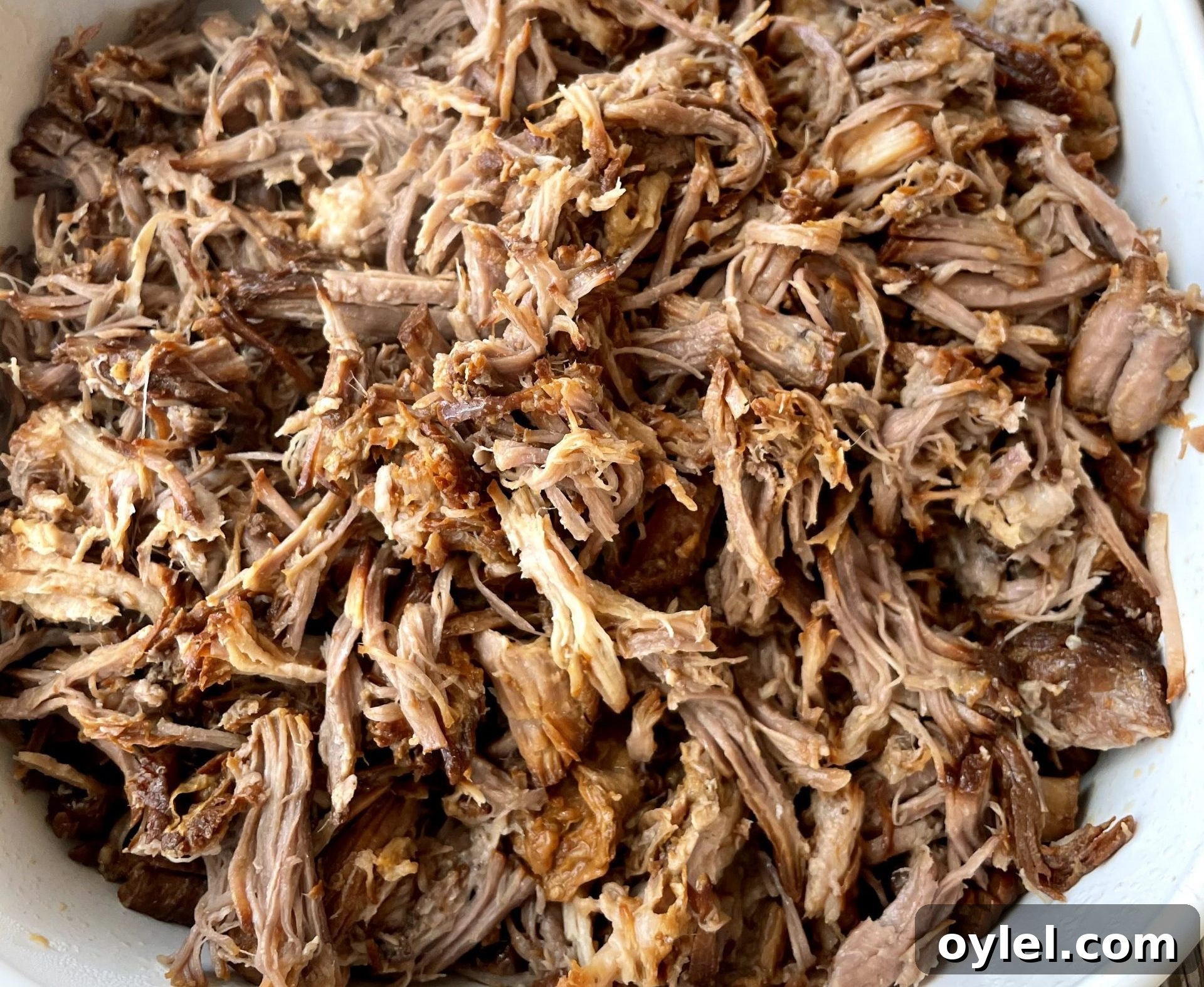 Shredded pork before adding the juices
