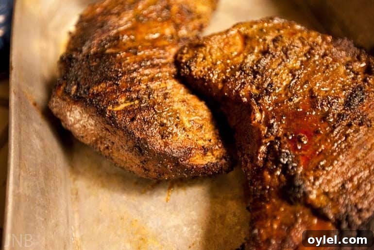 How to Reverse Sear Tri-Tip for Juicy BBQ Flavor 3 tri tip with seared bark on surface