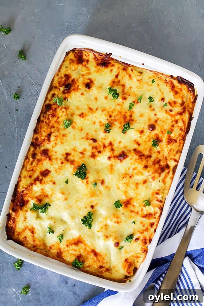 Overhead shot of baked pastitsio fresh from the oven on blue-gray background.