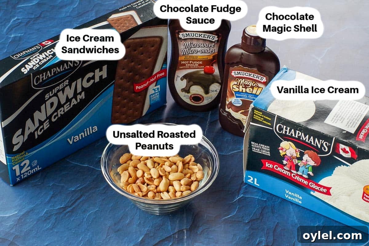 Ingredients for Buster Bar ice cream cake labelled.