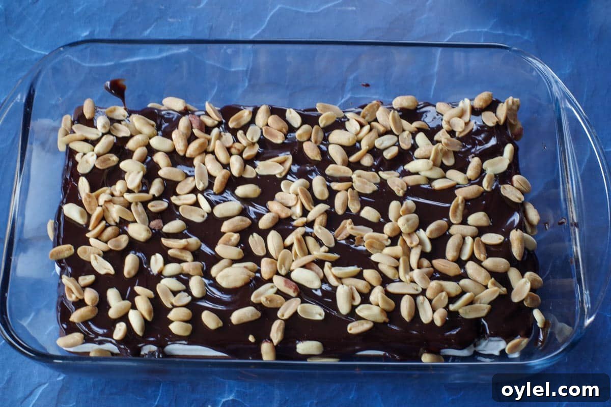 peanuts sprinkled over fudge layaer