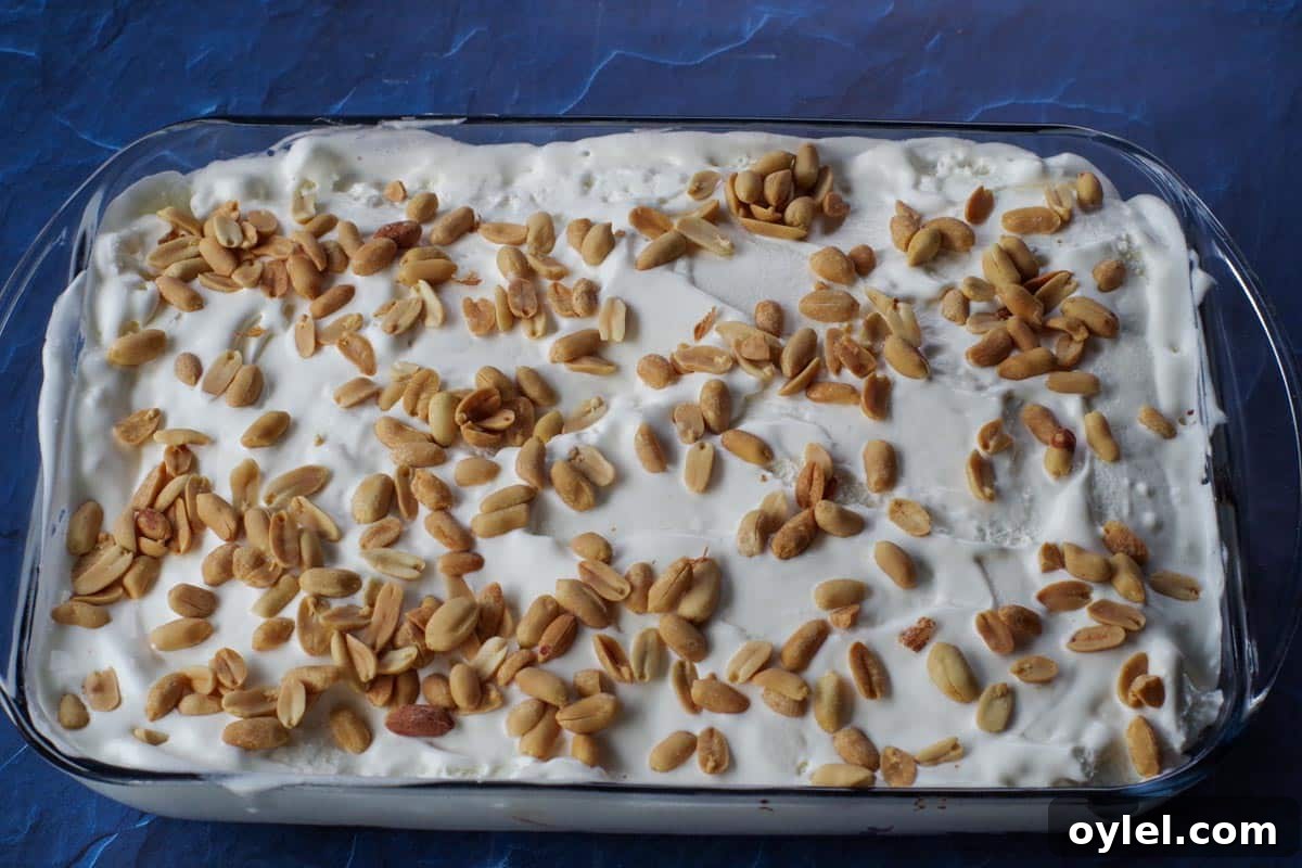 remaining peanuts spread over ice cream layer