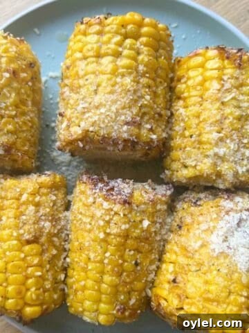 Air Fryer Corn